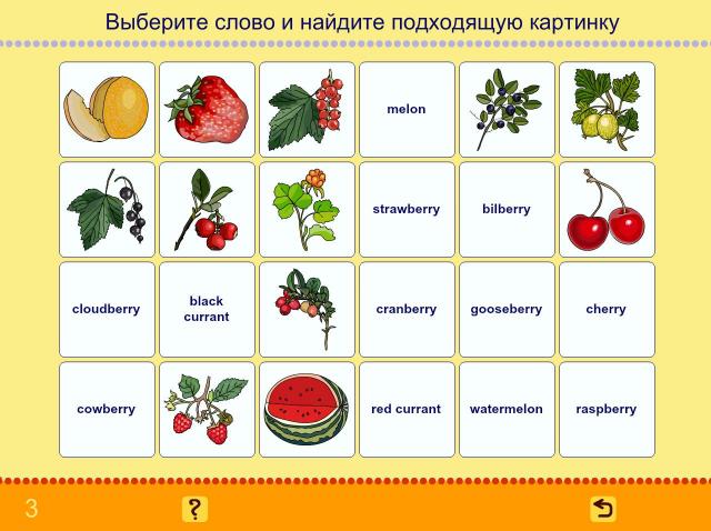 Учим английские слова. Овощи, фрукты, ягоды_2