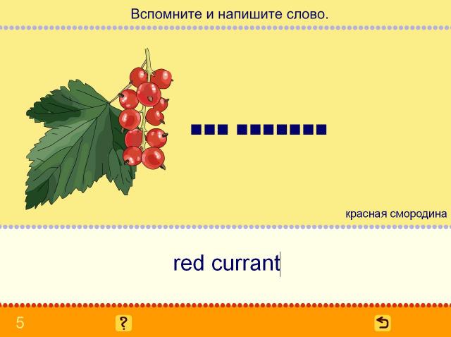 Учим английские слова. Овощи, фрукты, ягоды_4